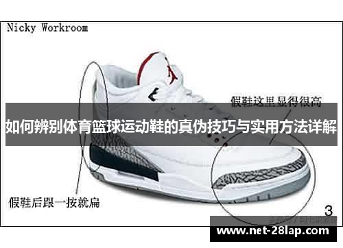 如何辨别体育篮球运动鞋的真伪技巧与实用方法详解