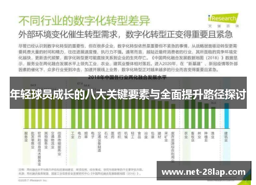 年轻球员成长的八大关键要素与全面提升路径探讨