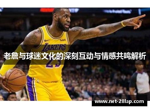 老詹与球迷文化的深刻互动与情感共鸣解析
