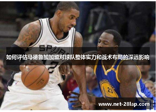 如何评估马德鲁加加盟对球队整体实力和战术布局的深远影响