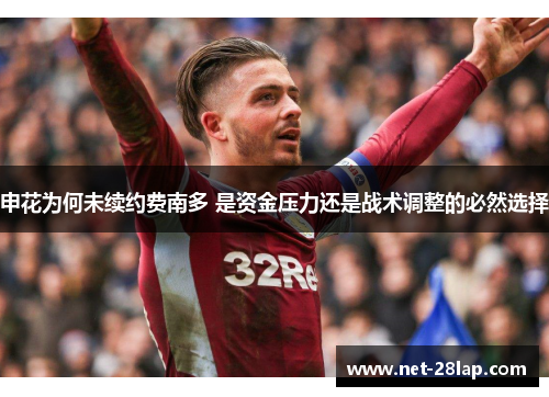 申花为何未续约费南多 是资金压力还是战术调整的必然选择