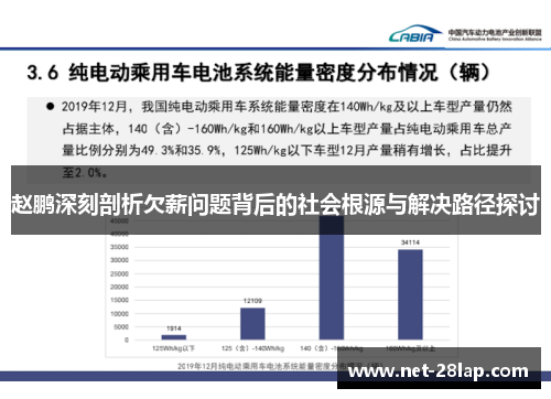 赵鹏深刻剖析欠薪问题背后的社会根源与解决路径探讨
