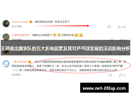 王皓退出国家队的五大影响因素及其对乒乓球发展的深远影响分析